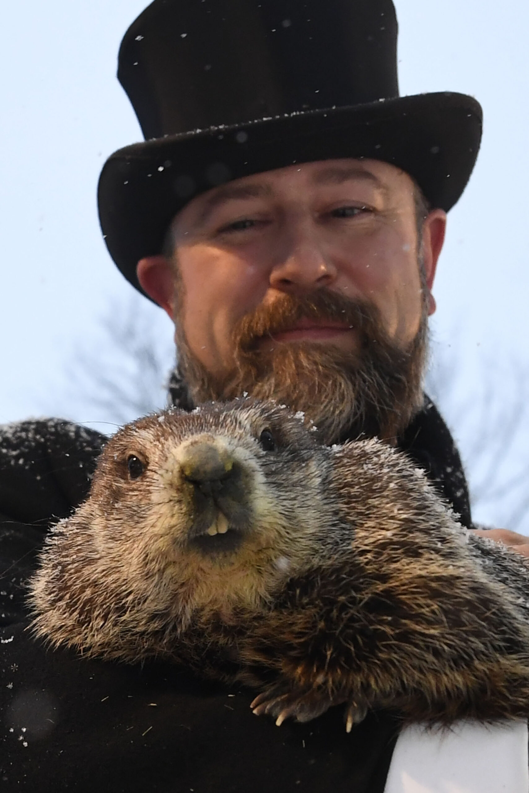 Punxsutawney Phil predicts 6 more weeks of winter - KQ98